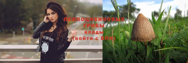 ешки Краснослободск