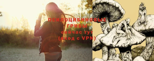 ешки Краснослободск